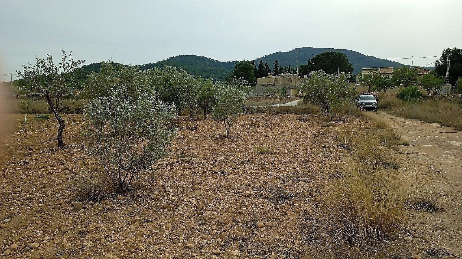 Land in Monóvar