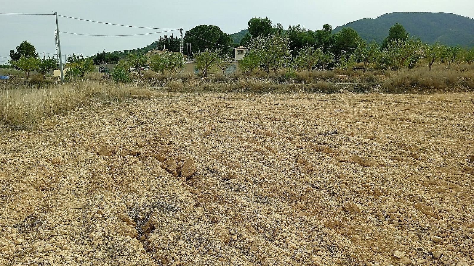 Terreno en Monóvar