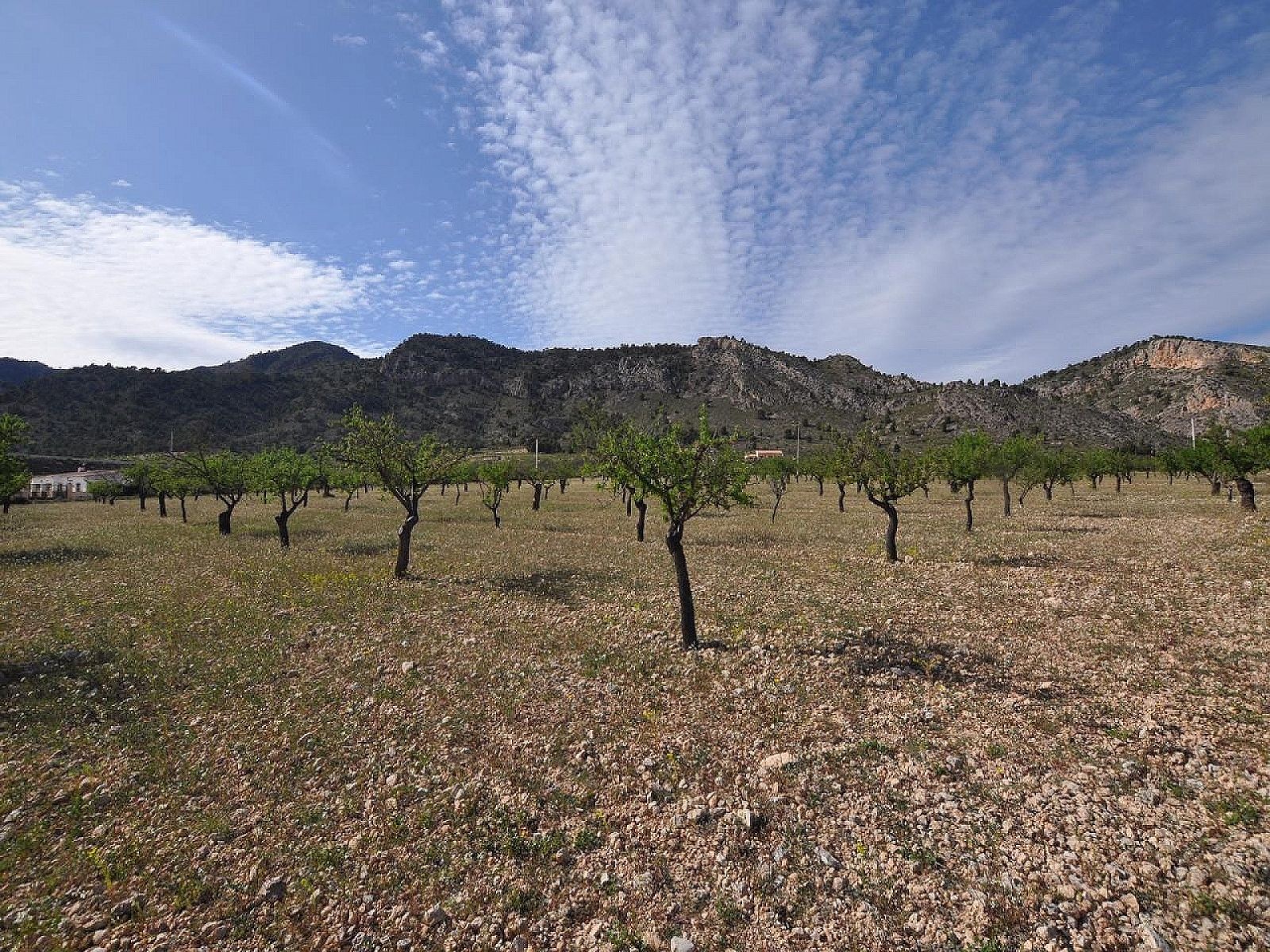 Terreno en Salinas