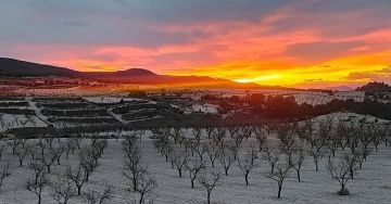 Lovely Home with B&B guest apartment