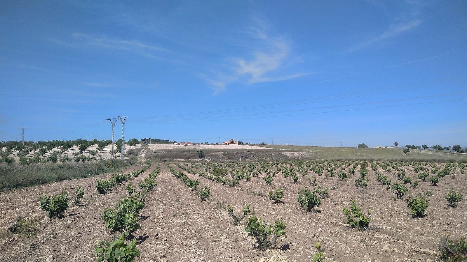 Detached Villa in Cañada del Trigo